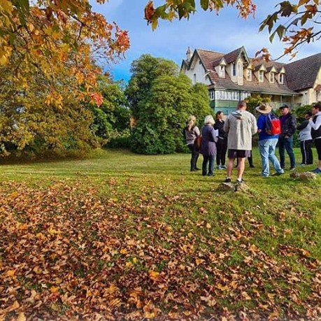 leura tours of the blue mountains